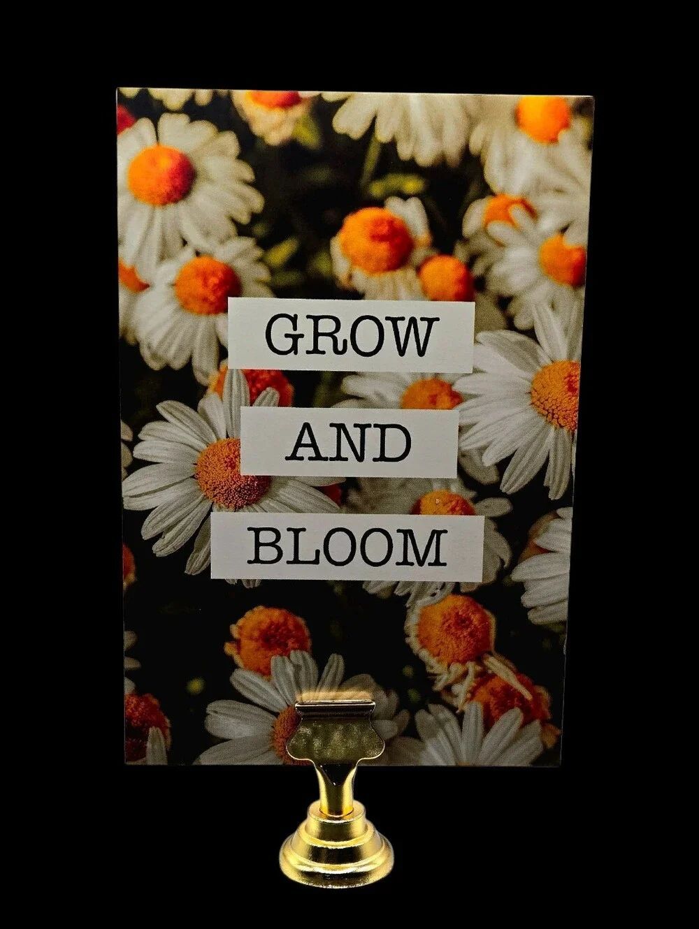 "5/$40" Reversible Set Of 2 4x6 Photo Cards W/Gold Stand Daisies/Bicycle